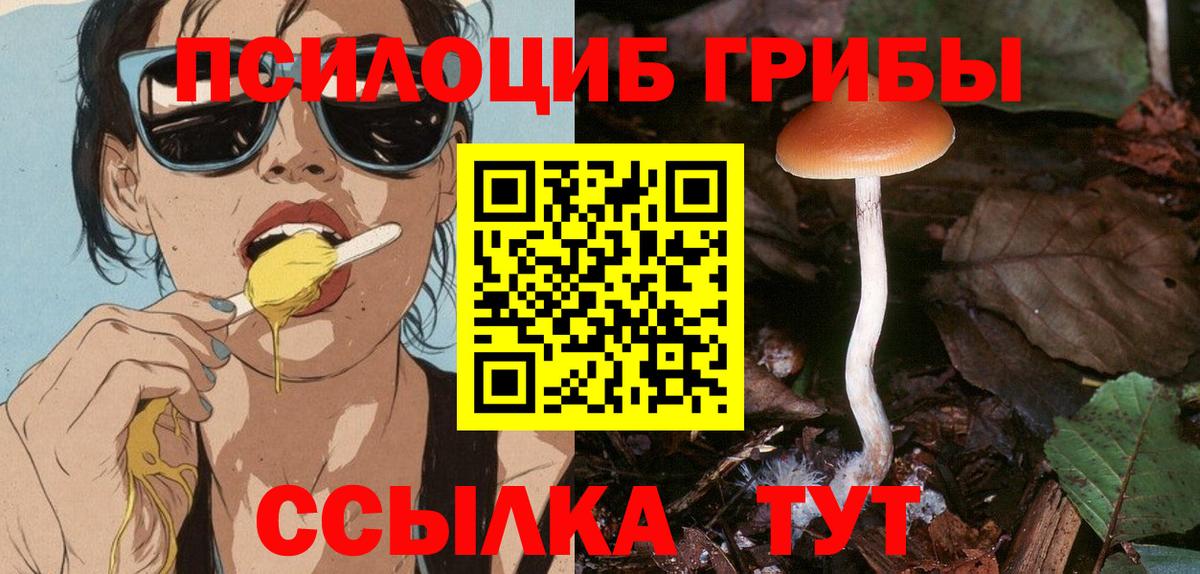 Галлюциногенные грибы Psilocybine cubensis Юрга